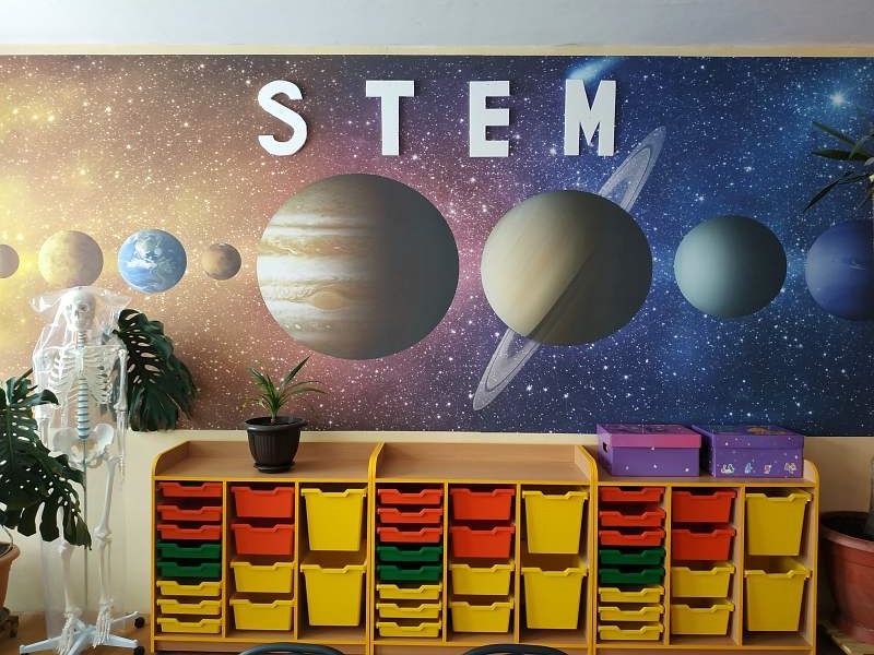 stem