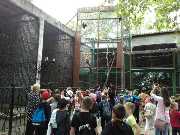 zoo 03